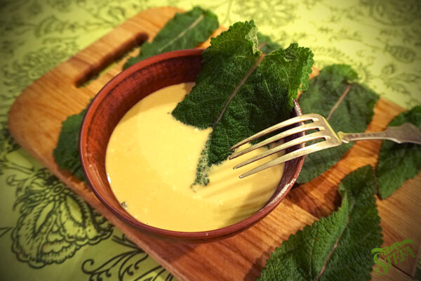 Шавлія в клярі, salvia fritta